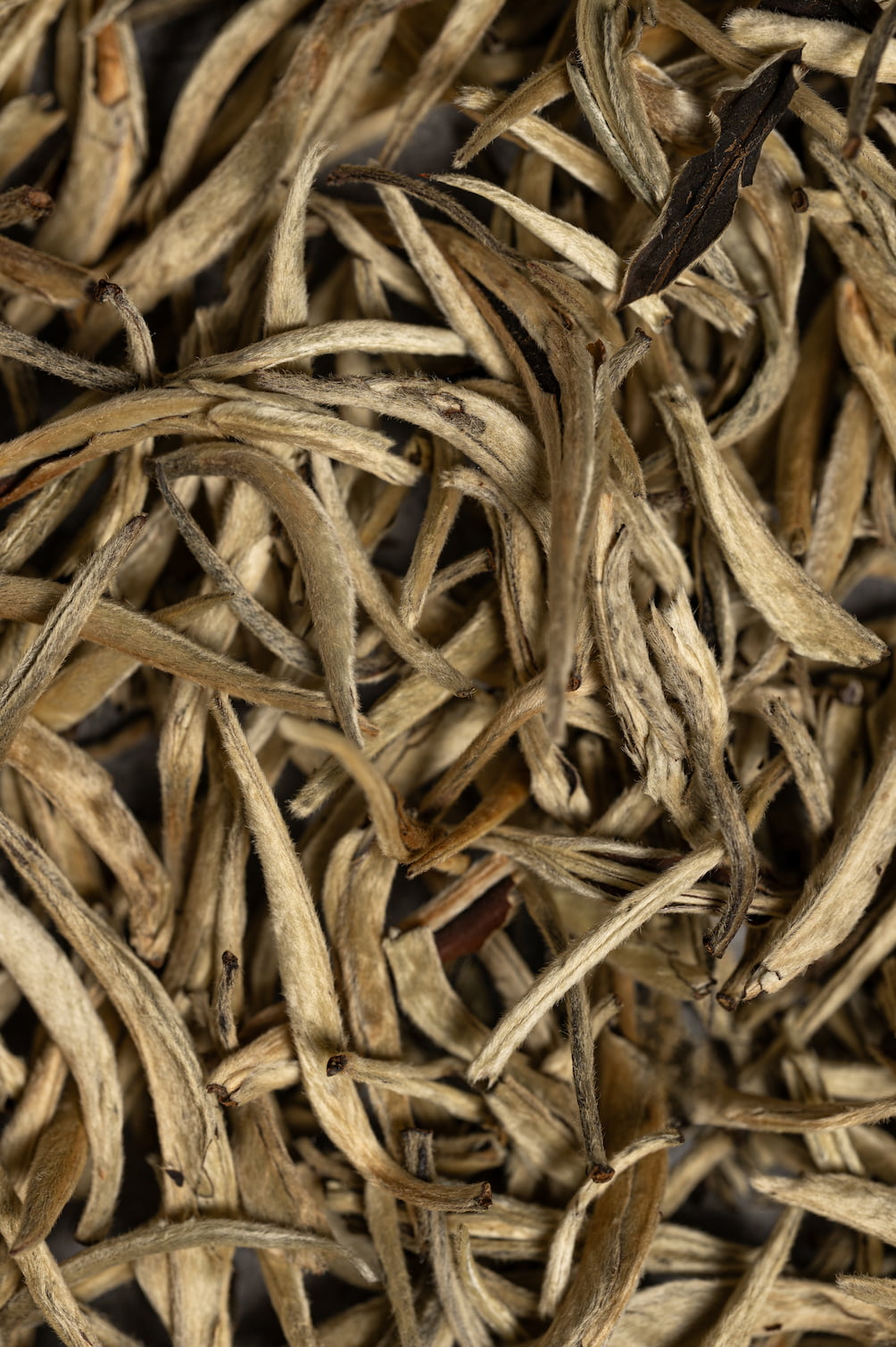 Silver Needle Bai Hao Yin Zhen – Makroaufnahme der weißen Teeblätter.
